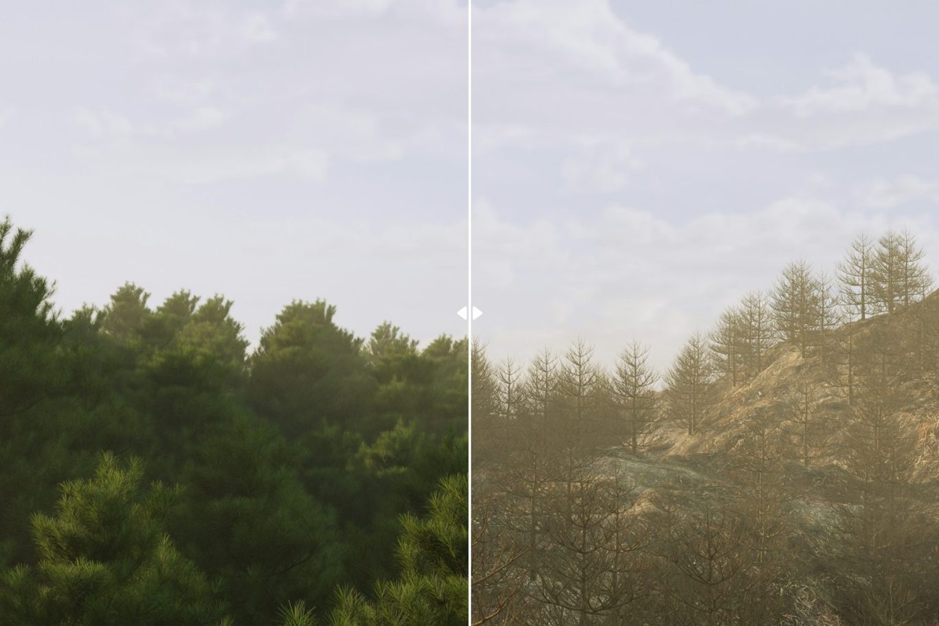 AI photo repair Confronto di paesaggi: una foresta sana a sinistra e un'area bruciata a destra.